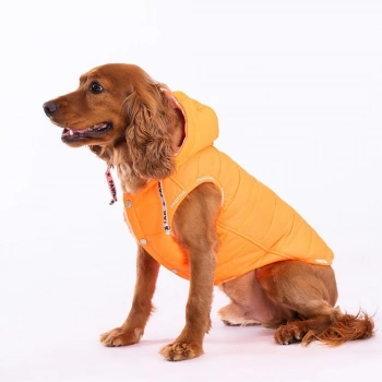 Neon Orange Railway Vest Köpek Montu X Large 34x38x55 cm