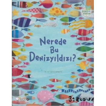 Nerede Bu Denizyıldızı?