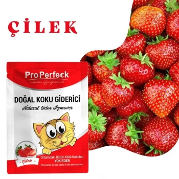 Pro Perfeck Çilek Kokulu Koku  25 gr