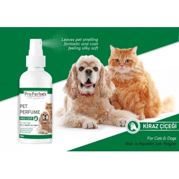 Pro Perfeck Kedi Ve Köpek Kiraz Çiçeği Parfüm 100 ml