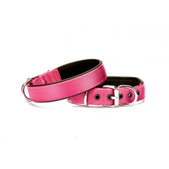 Softlu Dokuma Köpek Tasması 2,5 cm x 50 cm Mor