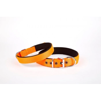 Softlu Dokuma Köpek Tasması 2,5 cm x 50 cm Tcu