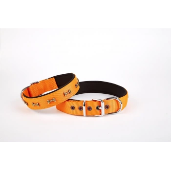 Softlu Kemik Desenli Köpek Tasması 2 cm x 45 cm Tcu