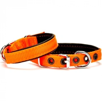 Softlu Köpek Boyun Tasması 1,5 cm x 30 cm Tcu