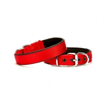 Softlu Köpek Boyun Tasması 2 cm x 40 cm Kırmızı