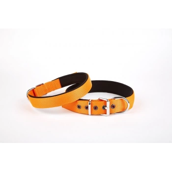 Softlu Köpek Boyun Tasması 3 cm x 55 cm Tcu