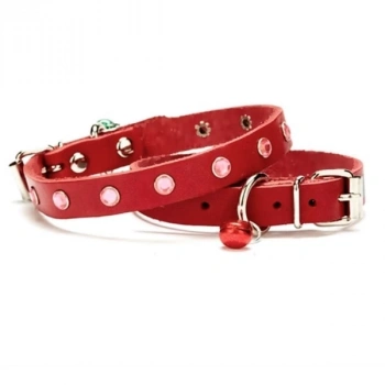 Taşlı Kedi ve Yavru Köpek Tasması 1*23 cm Kırmızı Medium