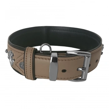 Taşlı Ve Aynalı Köpek Boyun Tasması 49-55 cm Large Taba