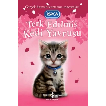 Terk Edilmiş Kedi Yavrusu