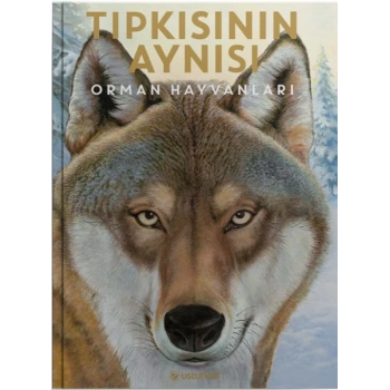 Tıpkısının Aynısı