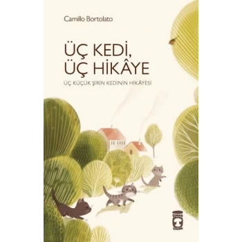 Üç Kedi Üç Hikaye