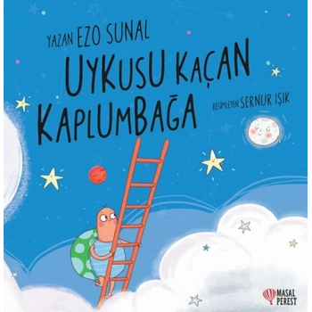 Uykusu Kaçan Kaplumbağa