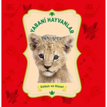 Yabani Hayvanlar - Dokun ve Hisset