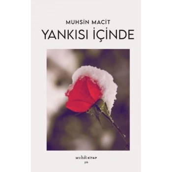Yankısı İçinde
