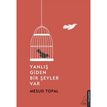 Yanlış Giden Bir Şeyler Var