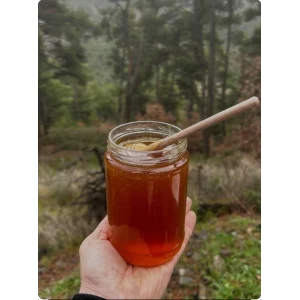 KÖYCEĞİZ ÇAM BALI (1 kg)