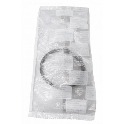 4549.19 Citroen C4 2005-2010 Arka Abs Okuyucu Algılayıcı