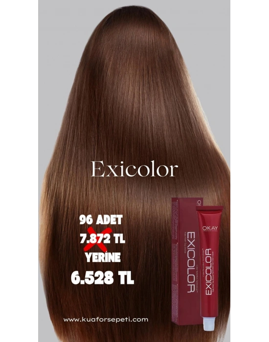 Exicolor Tüp Saç Boyası 60 ml 96 adet