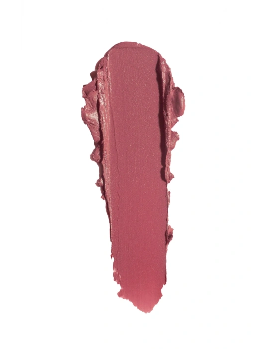 Pastel Nude Ruj 542 4.3 g
