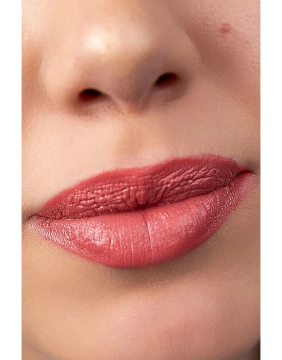 Pastel Nude Ruj 542 4.3 g