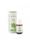 Clades  Mavi Anemon  Yağı 20 ml