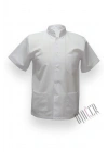 İş Gömleği Kısa Kol (Erkek) S, M, L, XL