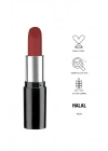 Pastel Nude Ruj 528 4.3 g