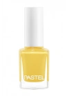 Pastel Oje 295