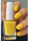 Pastel Oje 295