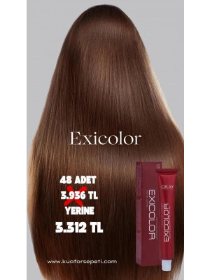 Exicolor Tüp Saç Boyası 60 ml 48 adet