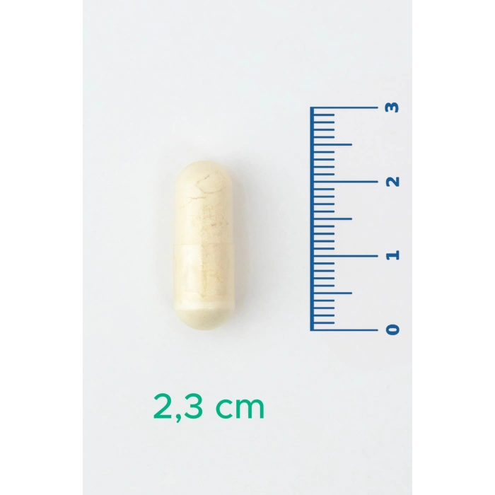 V-Probiotics with Enzymes - Enzimli Probiyotik - Glutensiz 30 Kapsül - 10 milyar KOB - Probiyotikler ve Sindirim Enzimleri Beraber