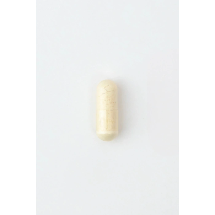 V-Probiotics with Enzymes - Enzimli Probiyotik - Glutensiz 30 Kapsül - 10 milyar KOB - Probiyotikler ve Sindirim Enzimleri Beraber