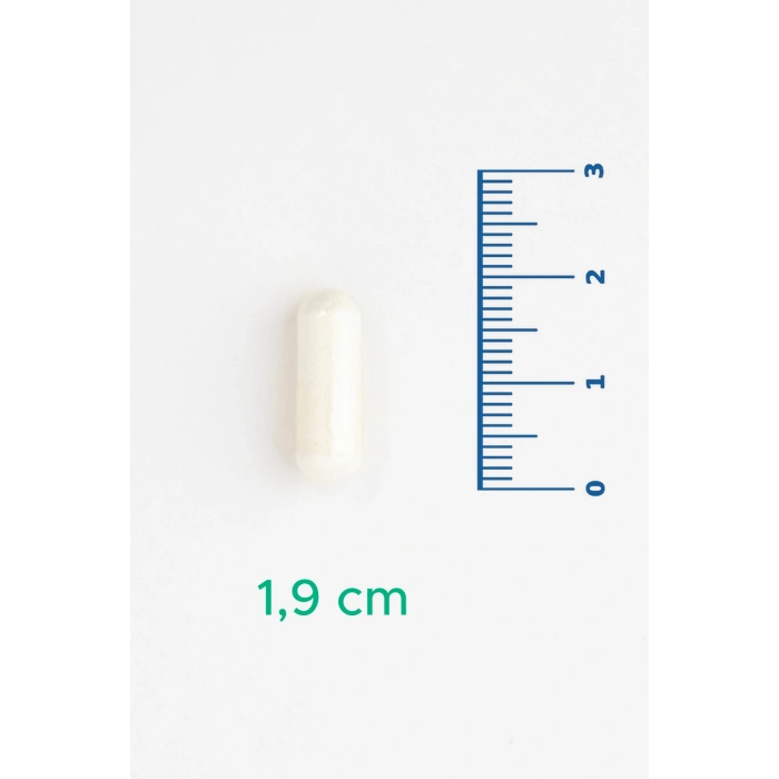 V-Ceramide - Seramid İçeren Takviye Edici Gıda 30 Kapsül