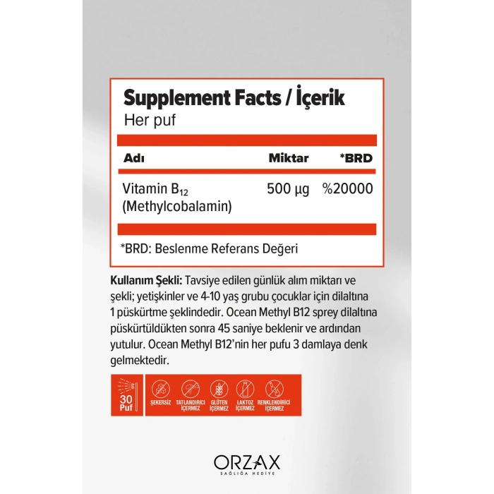 Metil B12 500 mcg Sprey 5 ml