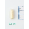 V-Probiotics with Enzymes - Enzimli Probiyotik - Glutensiz 30 Kapsül - 10 milyar KOB - Probiyotikler ve Sindirim Enzimleri Beraber