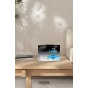Orzax L-Arjinin 1000 mg Takviye Edici Gıda 60 Saşe