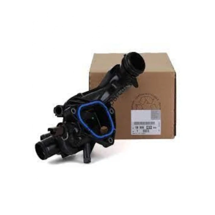 9808646980 - TERMOSTAT