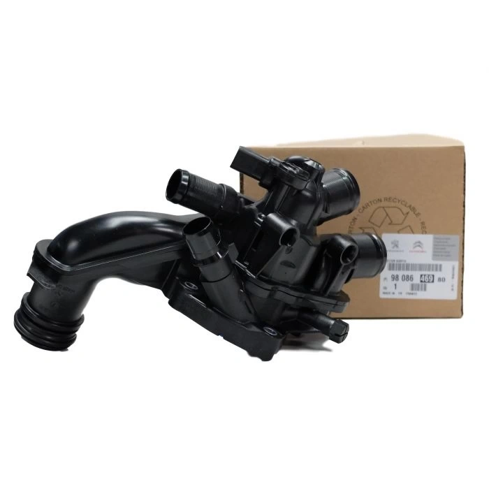 9808646980 - TERMOSTAT