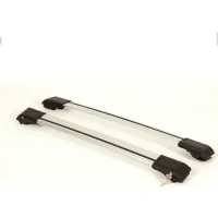 PEUGEOT 3008 TAVAN BARI