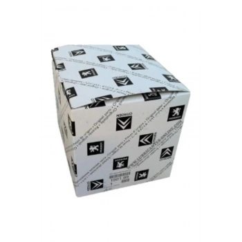 CİTROEN C-ELYSEE BALATA KAYIŞ KİTİ