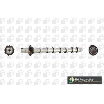 BGA EKSANTRİK MİLİ 1.6 0801.EQ