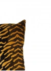 Gold Zebra