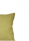 Olive Leaf