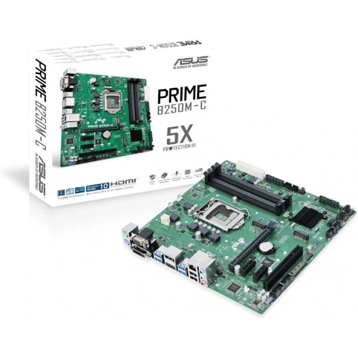 Asus EX-B250M-V3/C/SI DDR4 S+V+GL 1151 (mATX)