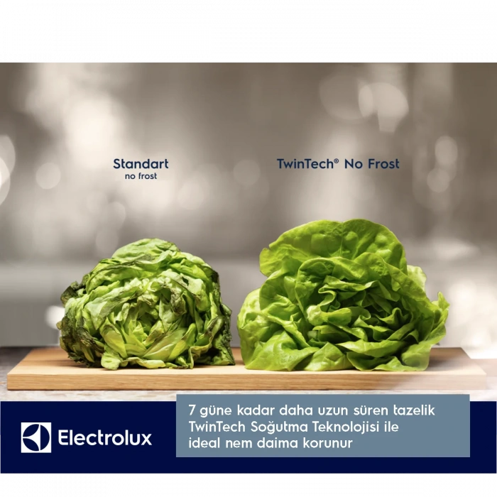 Electrolux Lnt7me46w2 No Frost Buzdolabı