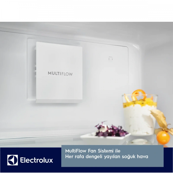 Electrolux Lnt7me46w2 No Frost Buzdolabı
