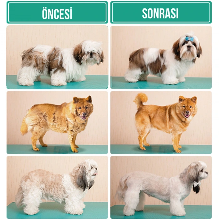 INSE P20 Pet Grooming Vacuum Hayvan Temizleme Robotu Beyaz