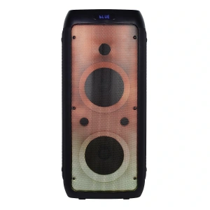 GOLDMASTER Neon X65 Kablosuz DJ Box Siyah