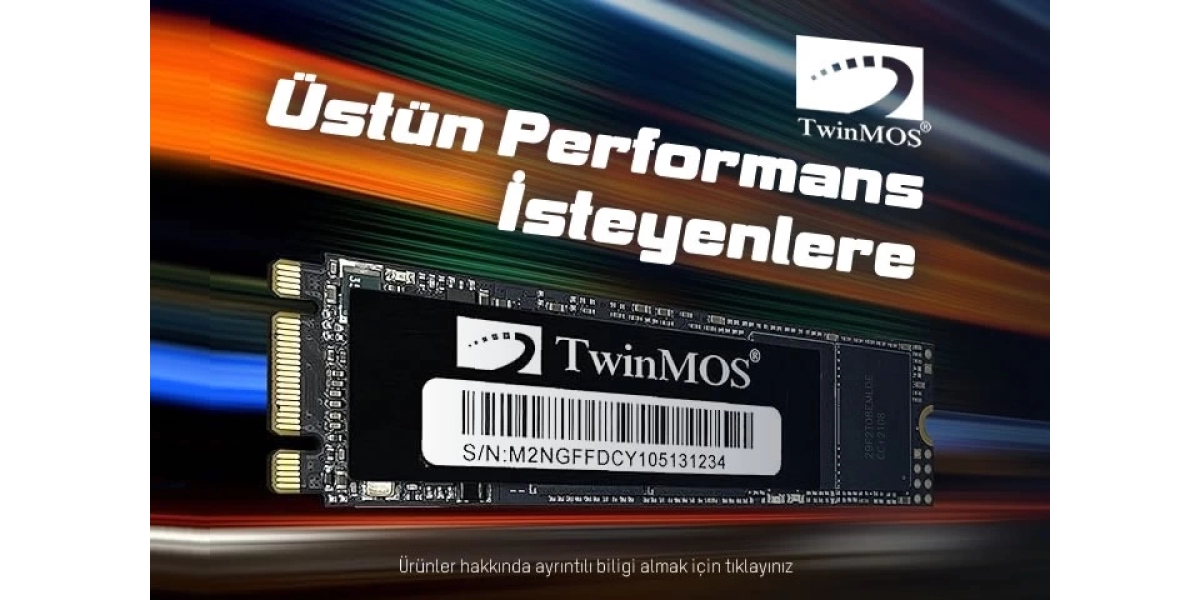 Twinmos SSD