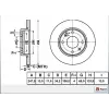 FREN DİSKİ ÖN PEUGEOT 206 (98-07) 206+ (09>) P306 (93-03)  XSARA (98-05) DÜZ 247MM